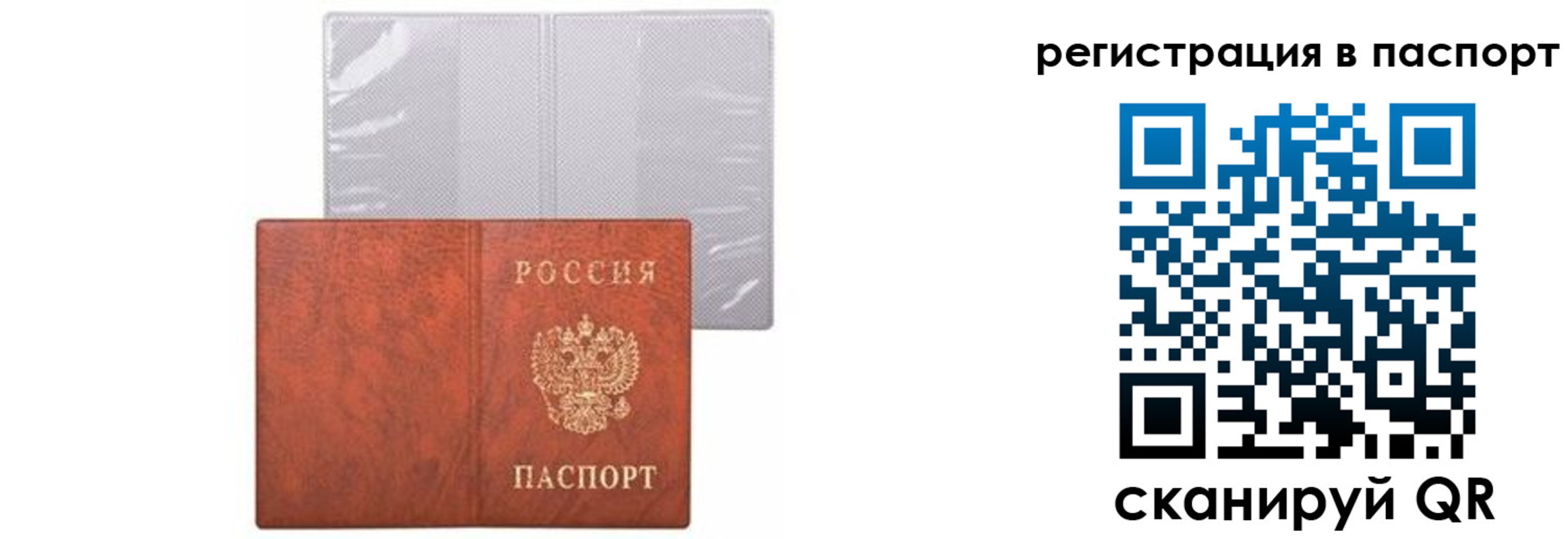прописка в квартире в Благовещенске